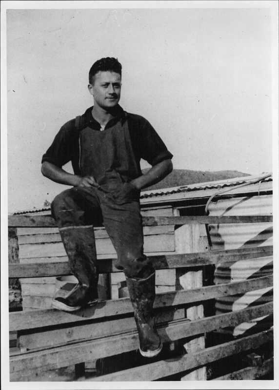 James Clendon Tau Henare