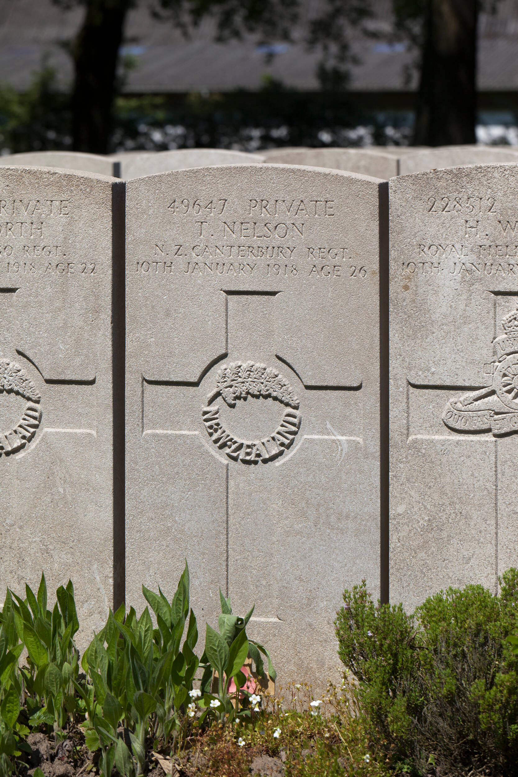 Thomas Nelson - Online Cenotaph - Auckland War Memorial Museum