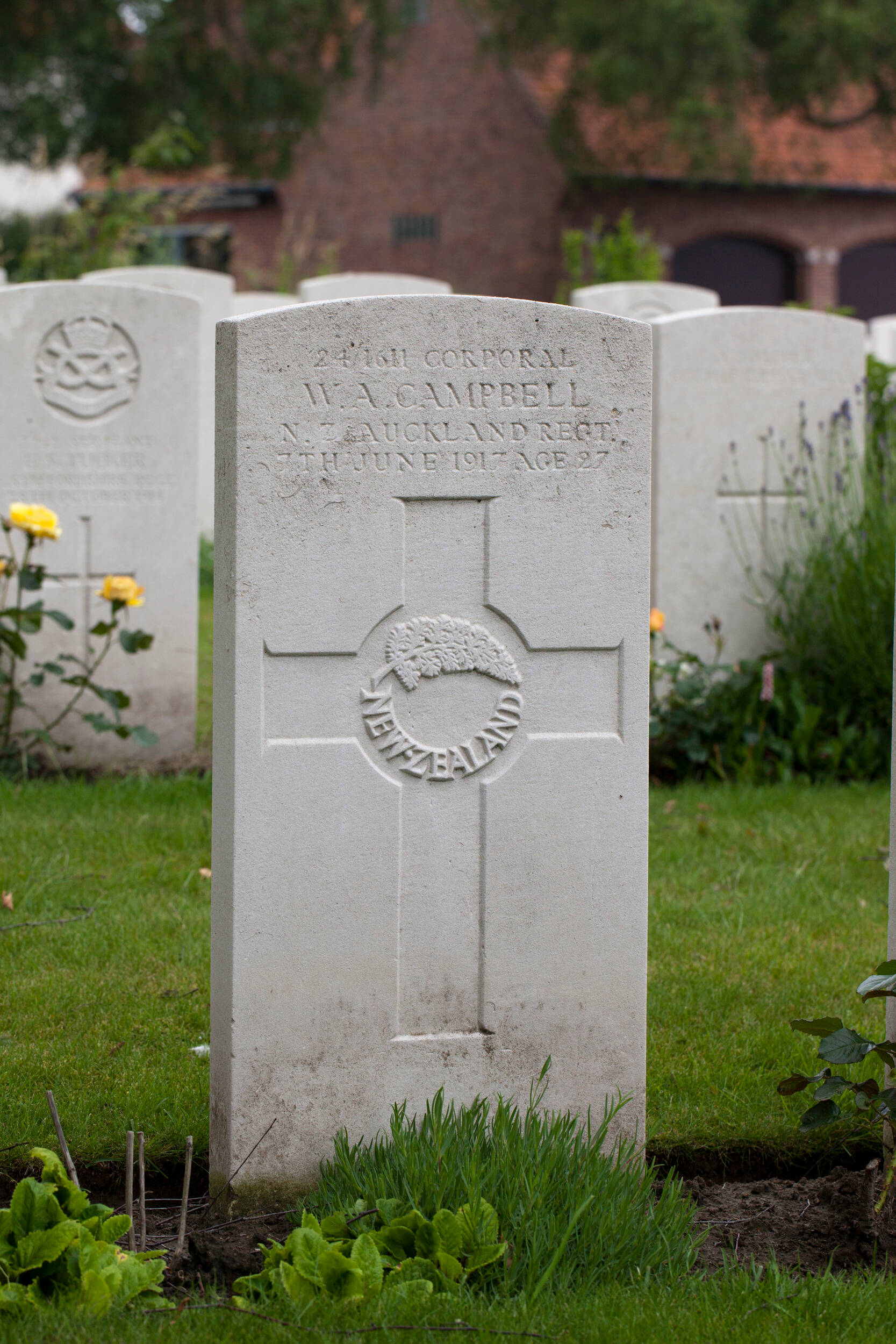 William Angus Campbell - Online Cenotaph - Auckland War Memorial Museum