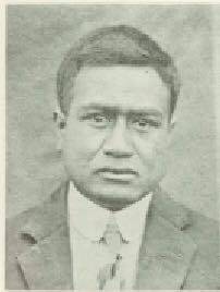 Pokoroa Terepii