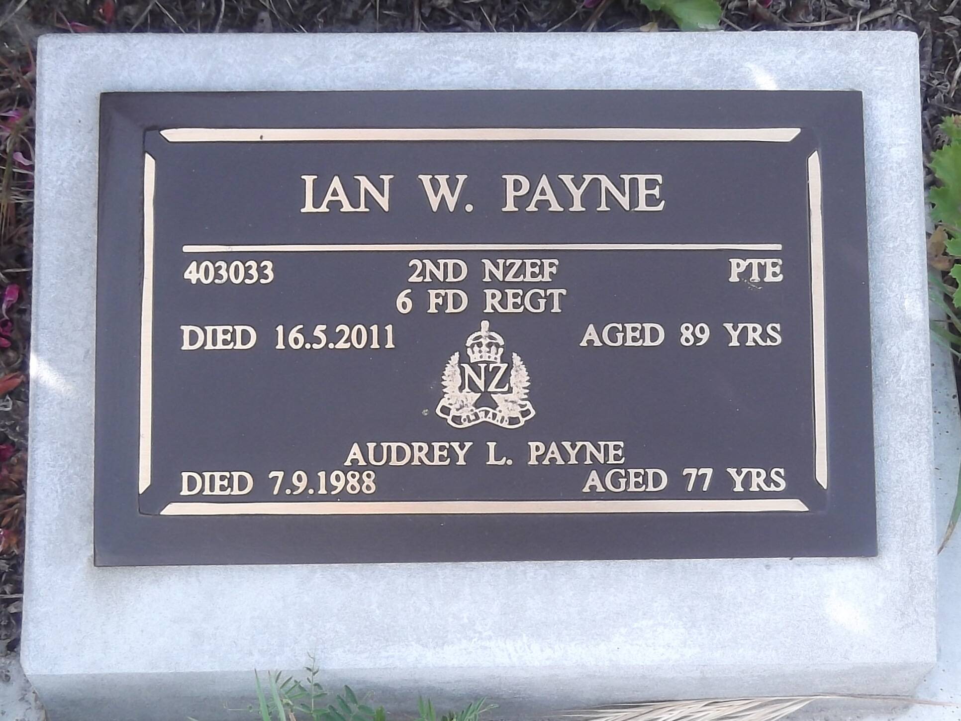 Ian Wallace Payne