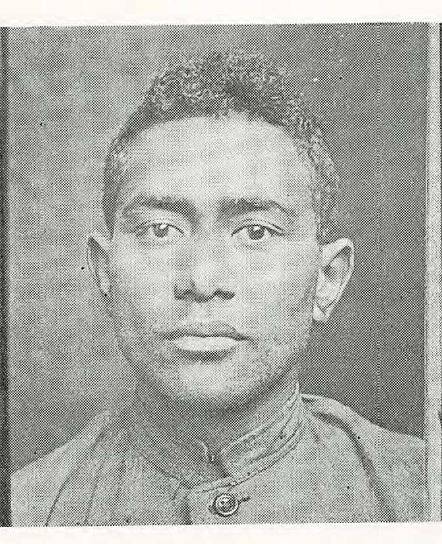 Niha Kiwara